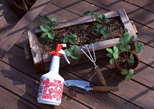 ビニール袋ならオンライン購入が